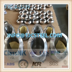 ASME SB381 Gr11/F-11 Titanium Alloy Forged Flanges