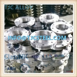 ASME SB381 Gr2/F-2 Titanium Alloy Forged Flanges