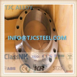ASME SB381 Gr7/F-7 Titanium Alloy Forged Flanges